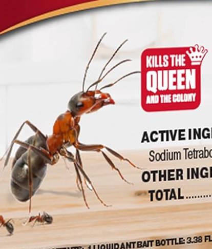 ant killer